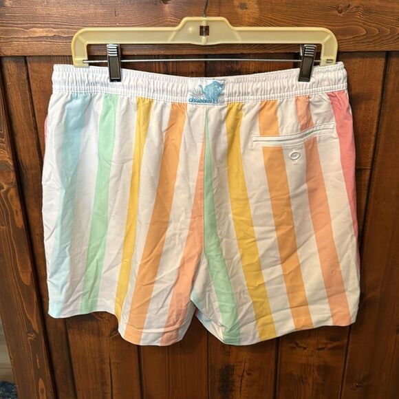 Chubbies Abstract Pastel Vertical Stripe Swim Shorts Trunks Men’s, Size XL, 5.5” - Picture 3 of 11